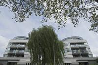 Cjp_2019_09_17_135826.jpg