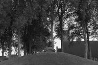 Cjp_2019_09_21_173948_NB.jpg
