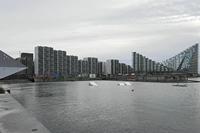 Cjp_2019_09_30_065634.jpg