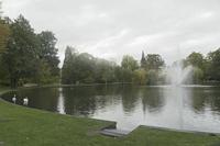 Cjp_2019_10_11_083312.jpg