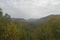 Cjp_2019_10_15_070434.jpg