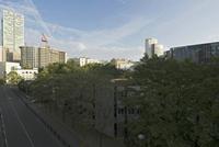 Cjp_2019_08_04_054554.jpg