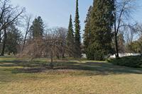 Cjp_2022_03_22_074222.jpg