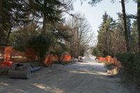 Cjp_2022_03_22_075618.jpg