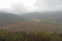 Cjp_2022_03_31_122526.jpg