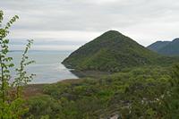 Cjp_2022_04_21_101626.jpg