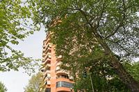 Cjp_2022_04_24_074500.jpg
