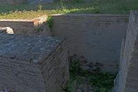 Cjp_2022_04_28_061352.jpg