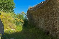 Cjp_2022_05_03_072158.jpg