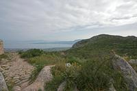 Cjp_2022_05_06_061226.jpg