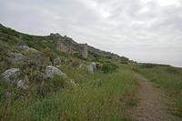 Cjp_2022_05_06_064750.jpg