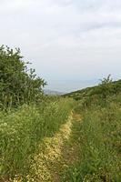 Cjp_2022_05_06_073216.jpg