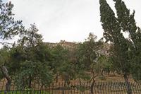 Cjp_2022_05_08_040514.jpg