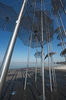 Cjp_2022_05_13_062606.jpg