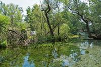 Cjp_2022_05_16_112502.jpg