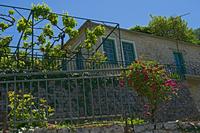 Cjp_2022_05_20_115150.jpg