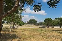 Cjp_2022_05_30_075232.jpg