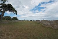 Cjp_2022_06_10_081452.jpg