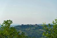 Cjp_2022_06_16_053314.jpg