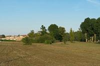 Cjp_2022_06_17_173800.jpg