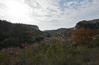 Cjp_2022_11_03_123624.jpg