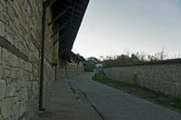 Cjp_2022_11_22_055258.jpg
