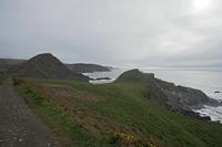 Cjp_2023_03_18_151550.jpg