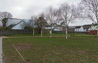 Cjp_2023_03_25_082222.jpg