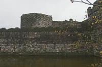 Cjp_2023_03_30_082124.jpg