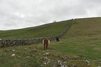 Cjp_2023_04_01_163802.jpg