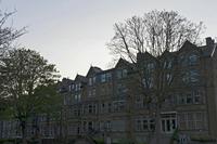 Cjp_2023_05_03_050706.jpg