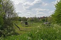 Cjp_2023_05_03_125438.jpg