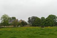 Cjp_2023_05_07_075224.jpg