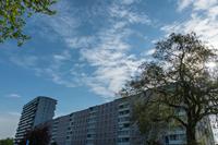 Cjp_2023_05_21_061402_1.jpg