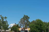 Cjp_2023_06_30_093856.jpg
