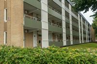Cjp_2023_07_06_094830_1.jpg